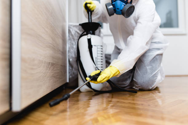 Best Emergency Pest Control  in South Portland, ME