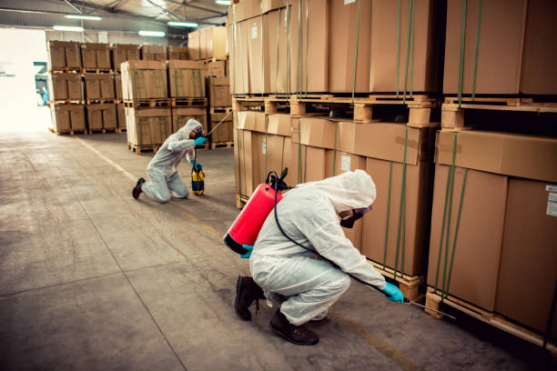 Best Affordable Pest Control Services  in South Portland, ME