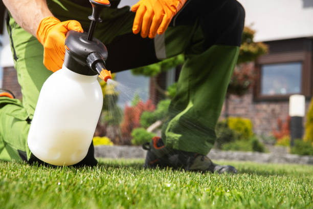 Best Wasp Removal Services  in South Portland, ME