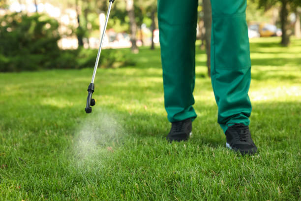 Best Pest Removal Services  in South Portland, ME