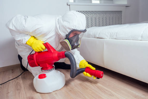 Best Pest Control Near Me  in South Portland, ME