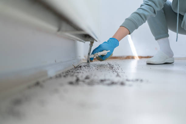 Best Mosquito Control Services  in South Portland, ME