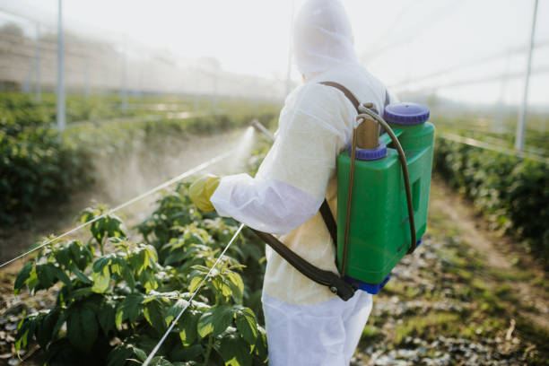 Pest Control for Restaurants in South Portland, ME